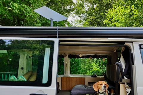 Amazon Leo off-grid 12V power setup in a caravan with battery and DC components
